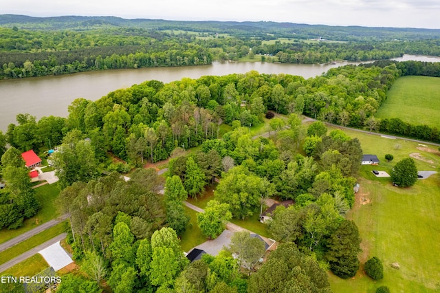 730 Lakehaven Cir, Decatur, TN 37322 - photo 26