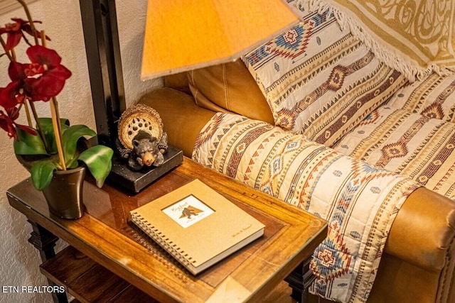 541 Johnson Ln Unit 1 & 2, Gatlinburg, TN 37738 - detailed view of a textured wall