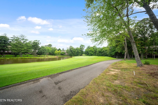 46 Westridge Ct, Crossville, TN 38558 - photo 44