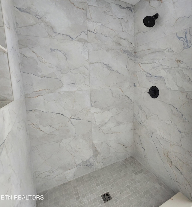 124 Chelsea Ln, Lafollette, TN 37766 - bathroom with tiled shower