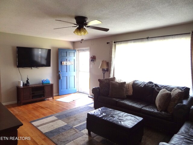 6221 Lilywood Ln, Knoxville, TN 37921 - photo 5