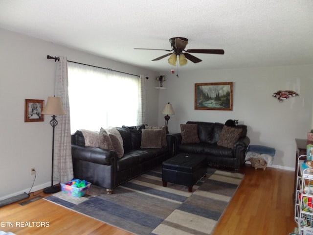 6221 Lilywood Ln, Knoxville, TN 37921 - photo 4