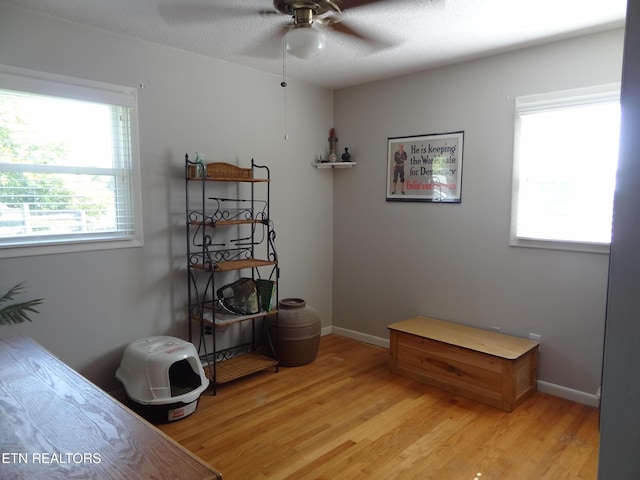 6221 Lilywood Ln, Knoxville, TN 37921 - photo 14