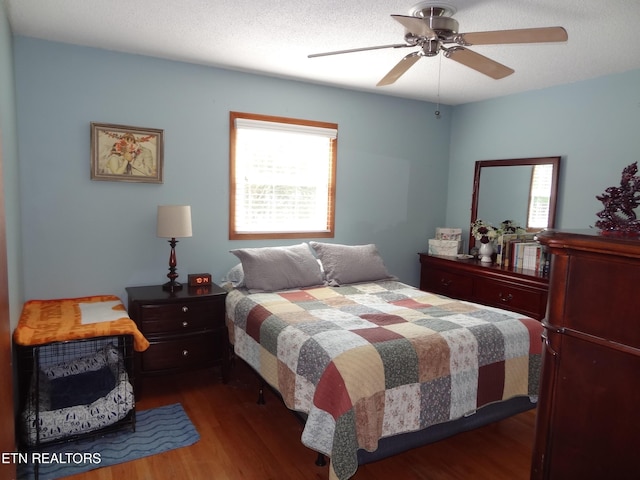 6221 Lilywood Ln, Knoxville, TN 37921 - photo 8