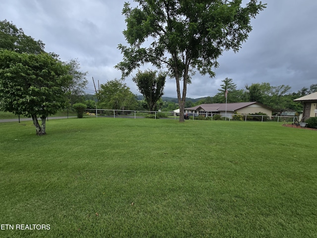 340 Machine Branch Rd, Ewing, VA 24248 - view of yard
