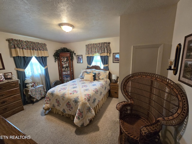 340 Machine Branch Rd, Ewing, VA 24248 - bedroom with multiple windows, a textured ceiling, and carpet floors