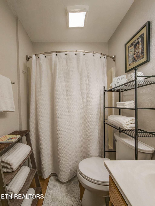 516 Proffitt Rd Unit 1 & 2, Gatlinburg, TN 37738 - full bathroom featuring wood finished floors, vanity, and a shower with shower curtain