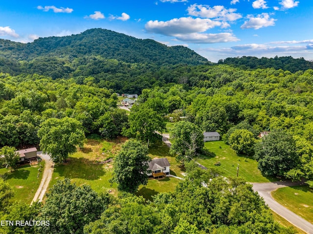 126 Double Cave Rd, Rutledge, TN 37861 - photo 15