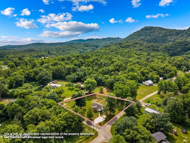 126 Double Cave Rd, Rutledge, TN 37861 - photo 17