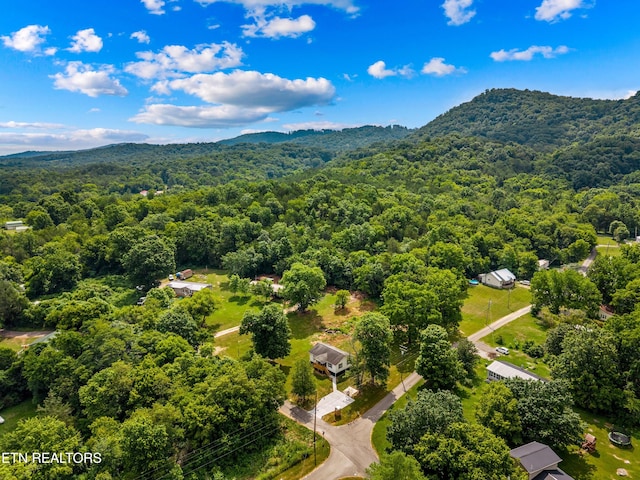 126 Double Cave Rd, Rutledge, TN 37861 - photo 20