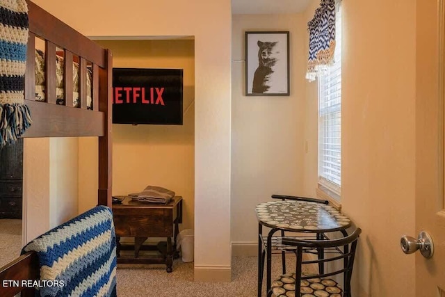 520 Proffitt Rd Unit 1, Gatlinburg, TN 37738 - hallway featuring carpet flooring and baseboards