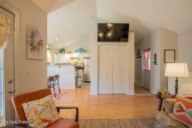 520 Proffitt Rd Unit 1, Gatlinburg, TN 37738 - living area with light wood-style flooring and vaulted ceiling