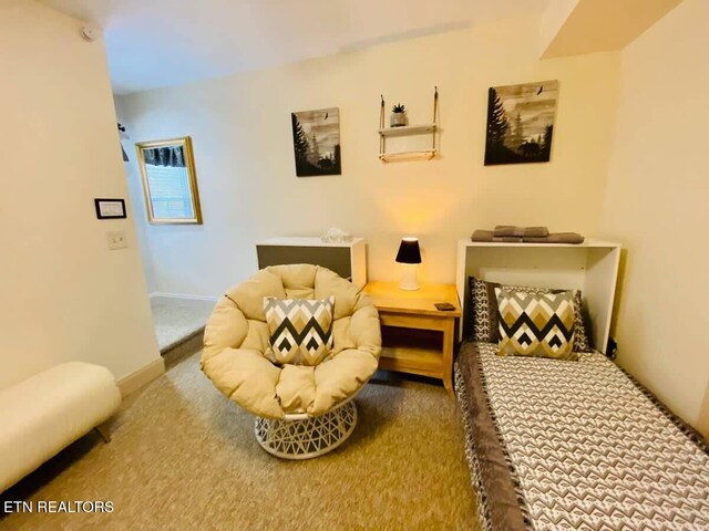 520 Proffitt Rd Unit 1, Gatlinburg, TN 37738 - living area with carpet floors and baseboards