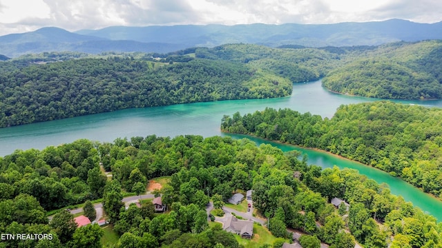 667 Pine Hollow Rd, Jacksboro, TN 37757 - drone / aerial view of a forest and a water and mountain view