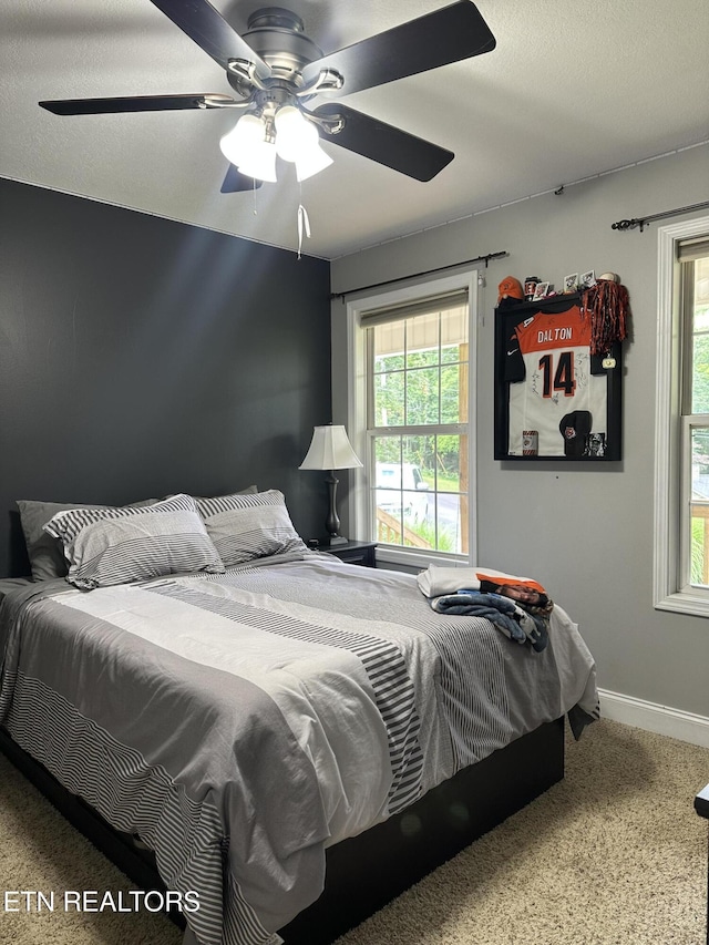 667 Pine Hollow Rd, Jacksboro, TN 37757 - bedroom featuring multiple windows, carpet flooring, and a ceiling fan