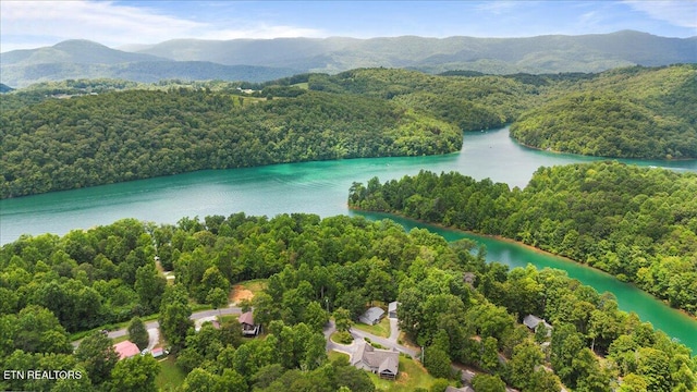 667 Pine Hollow Rd, Jacksboro, TN 37757 - aerial view of a forest and a water and mountain view