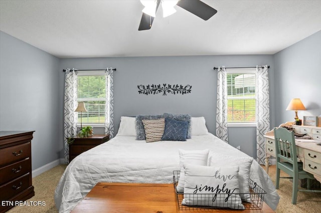 667 Pine Hollow Rd, Jacksboro, TN 37757 - bedroom featuring carpet floors, multiple windows, and a ceiling fan