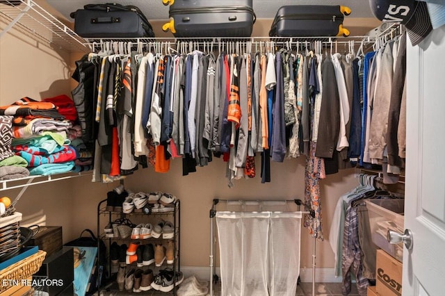 667 Pine Hollow Rd, Jacksboro, TN 37757 - view of walk in closet