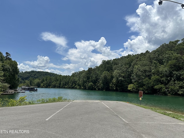667 Pine Hollow Rd, Jacksboro, TN 37757 - photo 60