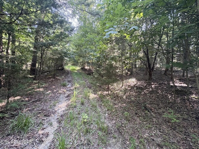 456 Geisler Rd, Piney Flats, TN 37686 - photo 3