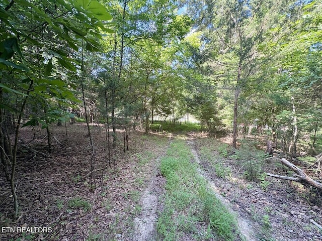 456 Geisler Rd, Piney Flats, TN 37686 - photo 4