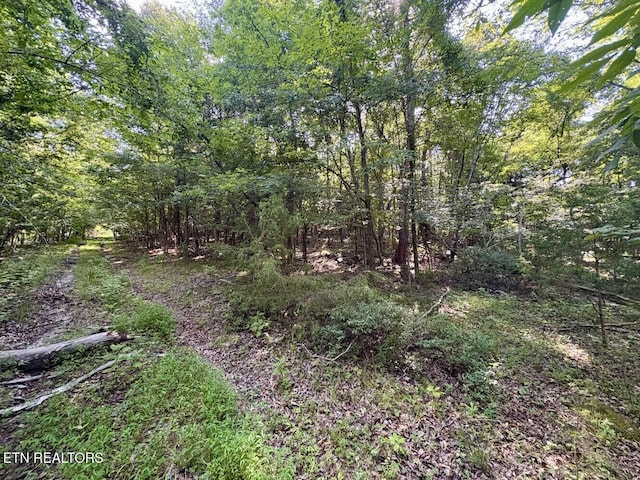 456 Geisler Rd, Piney Flats, TN 37686 - photo 5