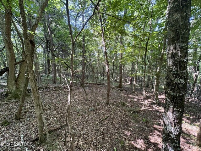 456 Geisler Rd, Piney Flats, TN 37686 - photo 7