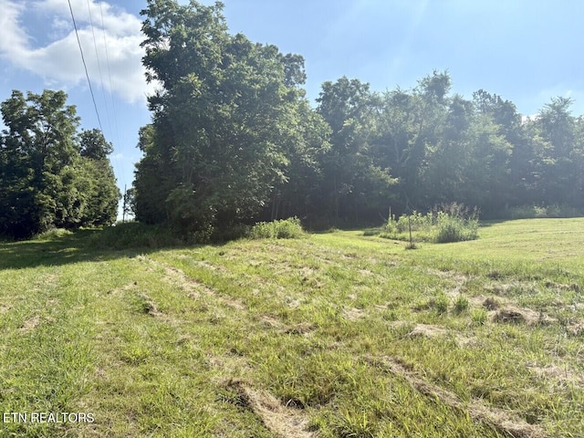 456 Geisler Rd, Piney Flats, TN 37686 - photo 8