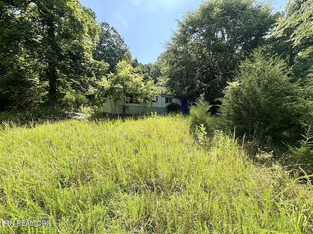 456 Geisler Rd, Piney Flats, TN 37686 - photo 9