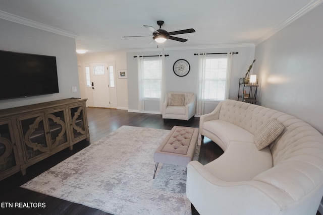 4830 Bradshaw Rd, Knoxville, TN 37912 - photo 8