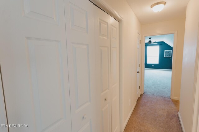 4830 Bradshaw Rd, Knoxville, TN 37912 - photo 32