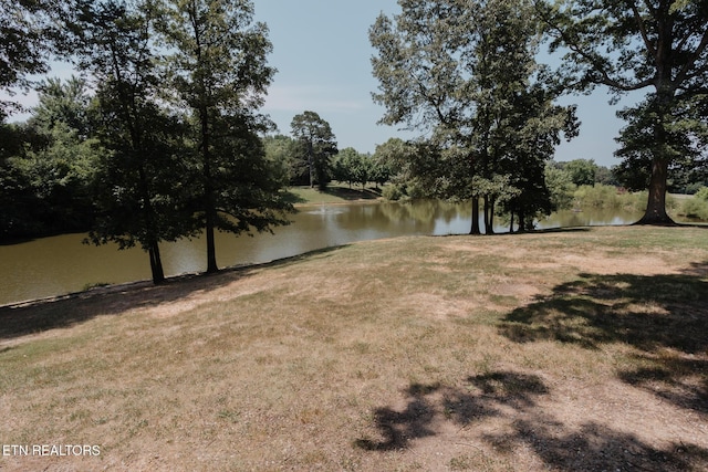 4830 Bradshaw Rd, Knoxville, TN 37912 - photo 42
