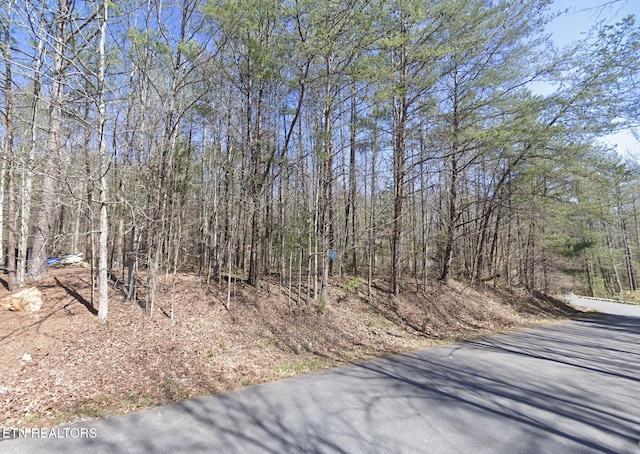 2320 Bogle Spring Loop, Sevierville, TN 37862