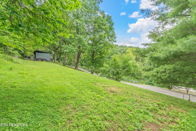 1386 Walker Ford Rd, Maynardville, TN 37807 - photo 24