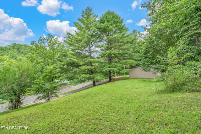 1386 Walker Ford Rd, Maynardville, TN 37807 - photo 26