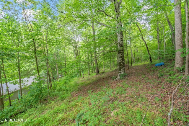 1386 Walker Ford Rd, Maynardville, TN 37807 - photo 27