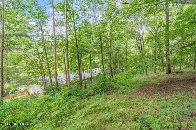 1386 Walker Ford Rd, Maynardville, TN 37807 - photo 28