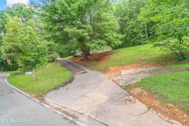 1386 Walker Ford Rd, Maynardville, TN 37807 - photo 29