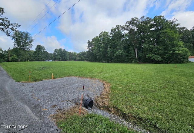 542 W End Rd, Rockwood, TN 37854 - photo 11