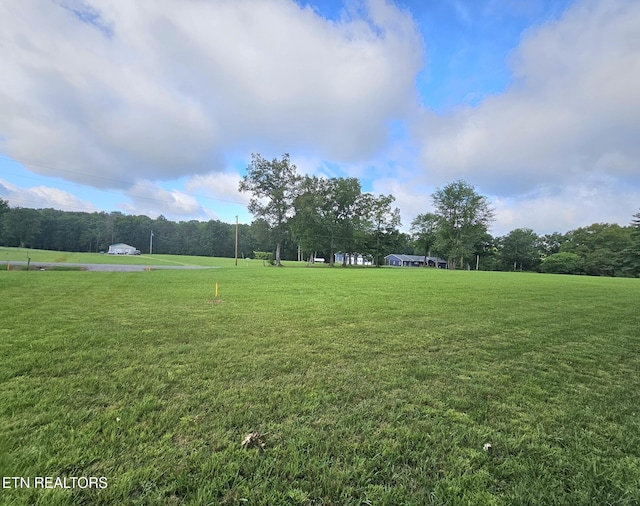 542 W End Rd, Rockwood, TN 37854 - photo 9