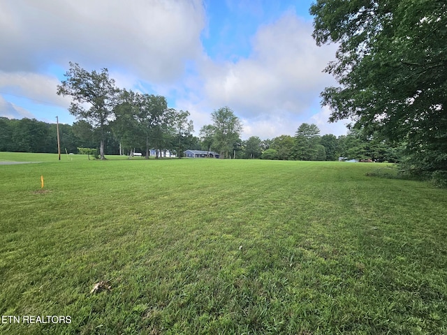 542 W End Rd, Rockwood, TN 37854 - photo 10