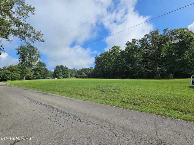 542 W End Rd, Rockwood, TN 37854 - photo 6