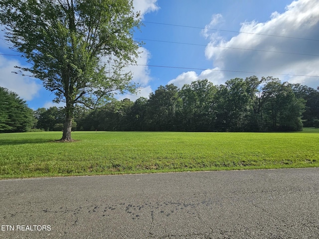 542 W End Rd, Rockwood, TN 37854 - photo 4