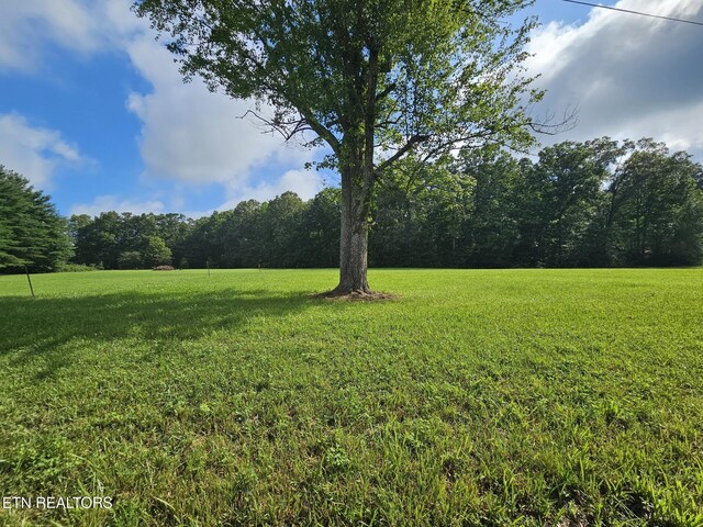 542 W End Rd, Rockwood, TN 37854 - photo 3