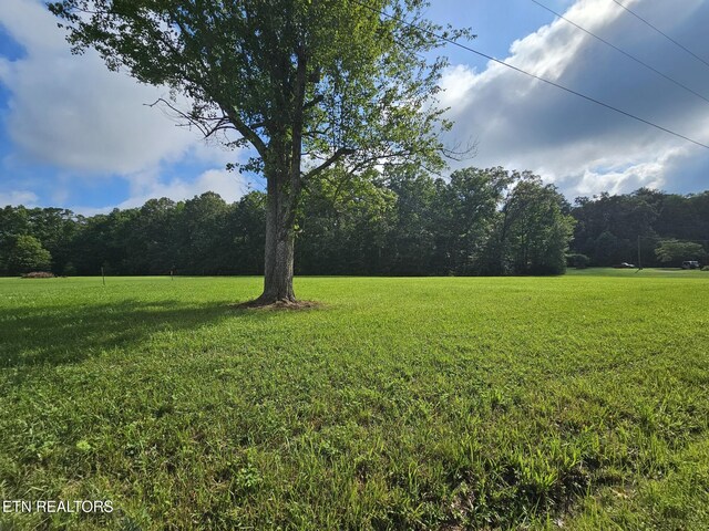 542 W End Rd, Rockwood, TN 37854 - photo 5