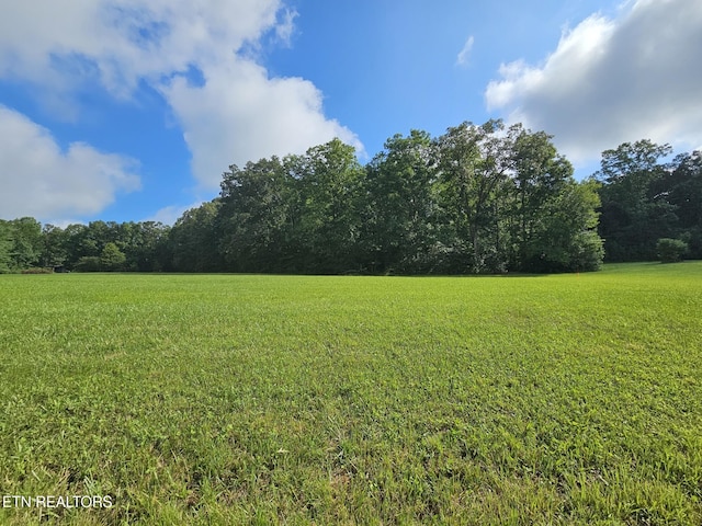 542 W End Rd, Rockwood, TN 37854 - photo 1