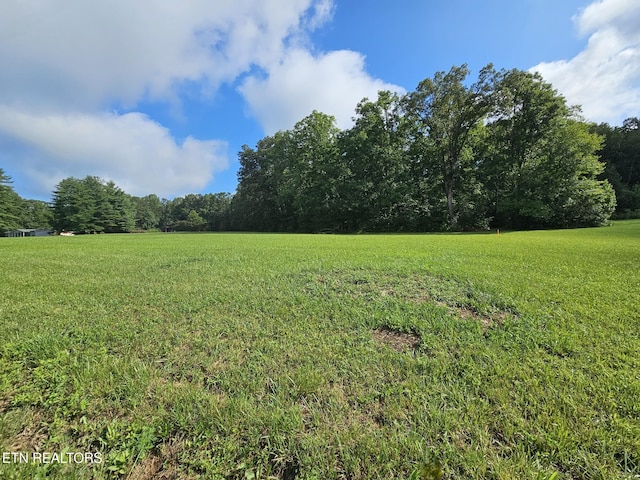 542 W End Rd, Rockwood, TN 37854 - photo 2