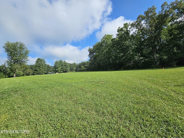 542 W End Rd, Rockwood, TN 37854 - photo 7