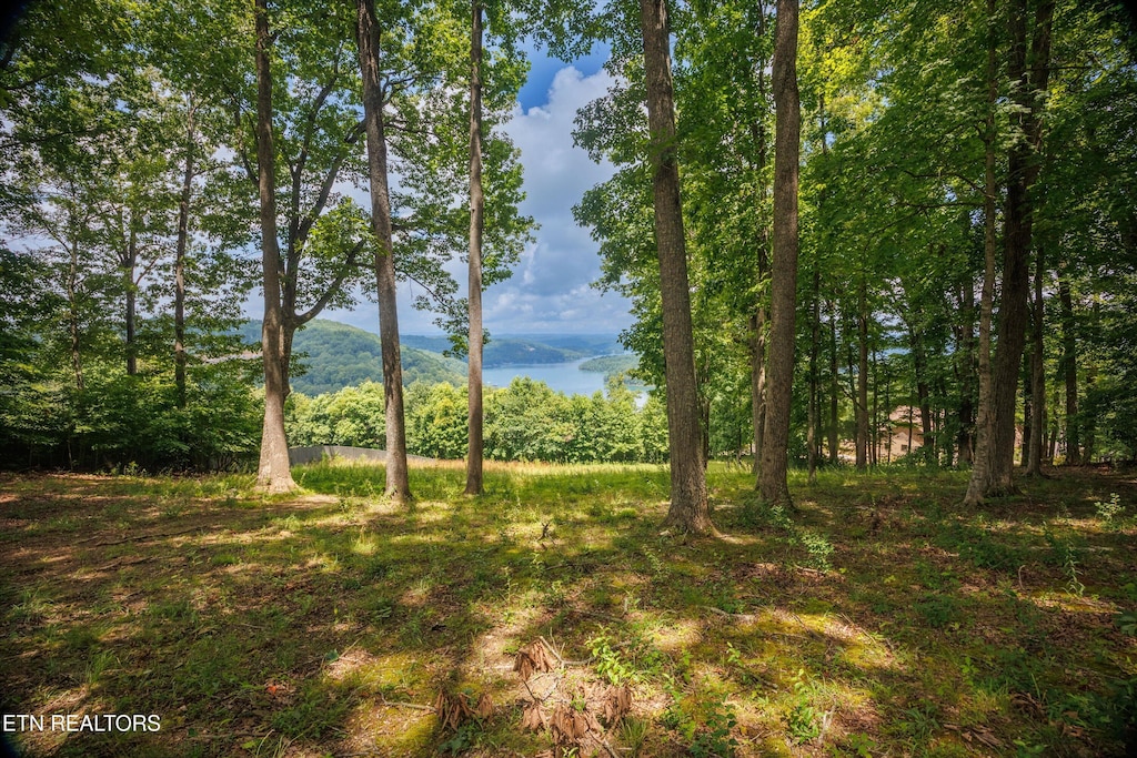 Spinnaker Dr, Andersonville, TN 37705 - photo 1