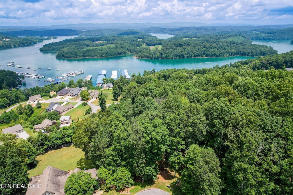 Spinnaker Dr, Andersonville, TN 37705 - photo 3